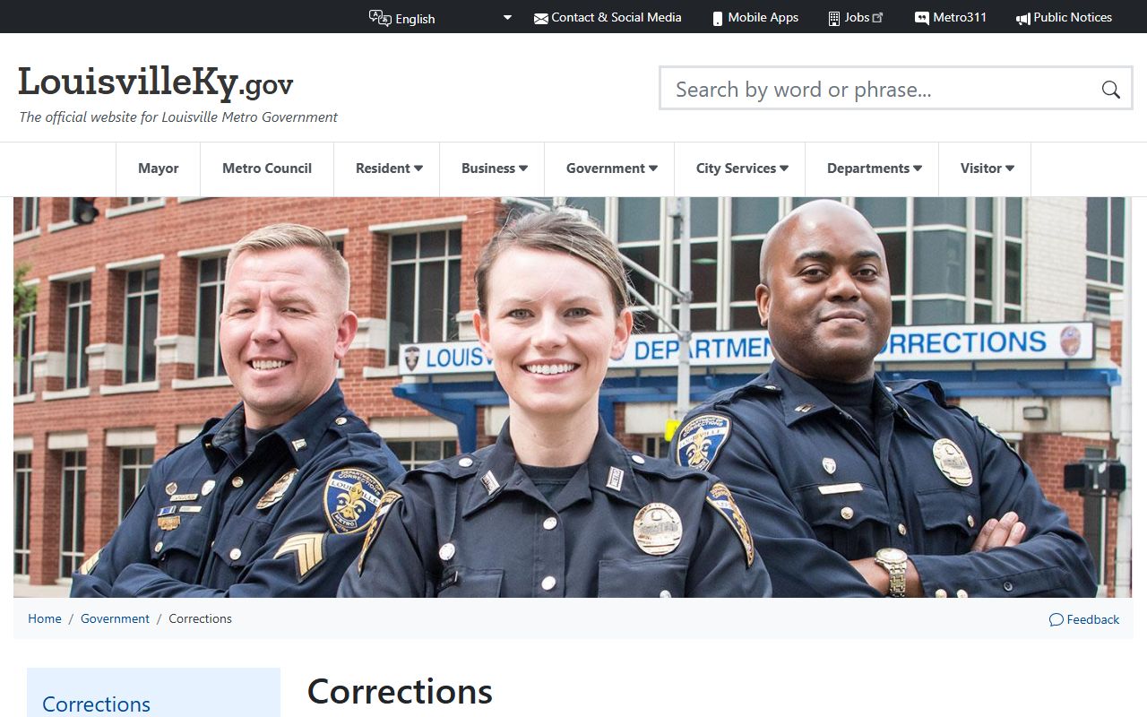 Jefferson County court records Louisville Metro Corrections custody information